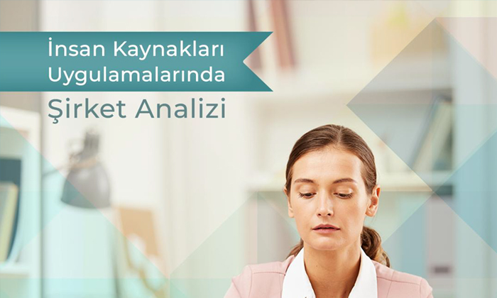 İnsan Kaynakları Uygulamalarında Şirket Analizi