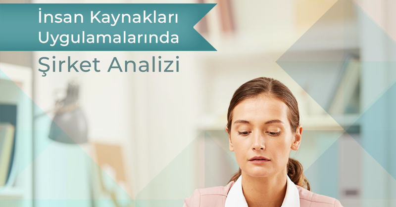 İK Uygulamalarında Şirket Analizi